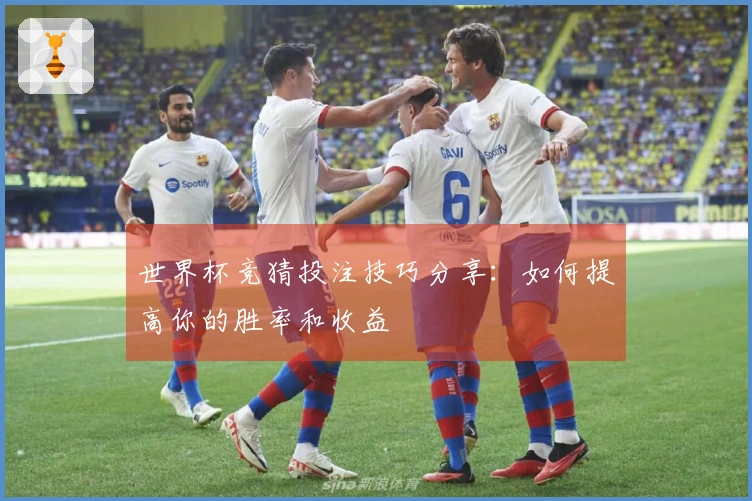世界杯竞猜投注技巧分享：如何提高你的胜率和收益