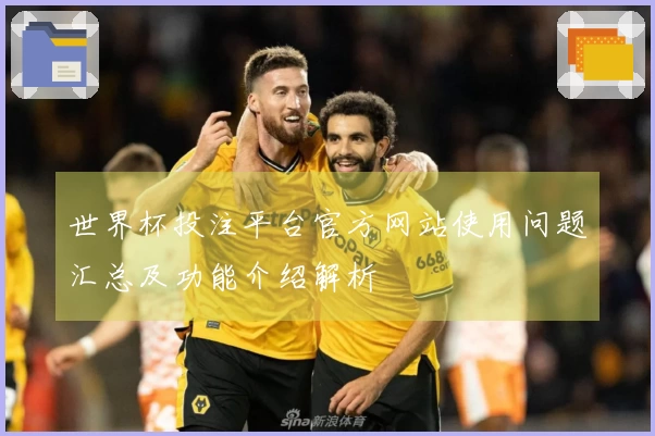 世界杯投注平台官方网站使用问题汇总及功能介绍解析
