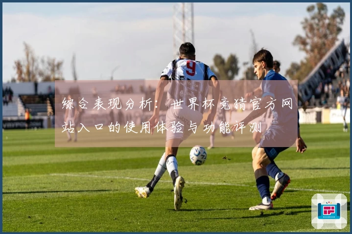 综合表现分析：世界杯竞猜官方网站入口的使用体验与功能评测