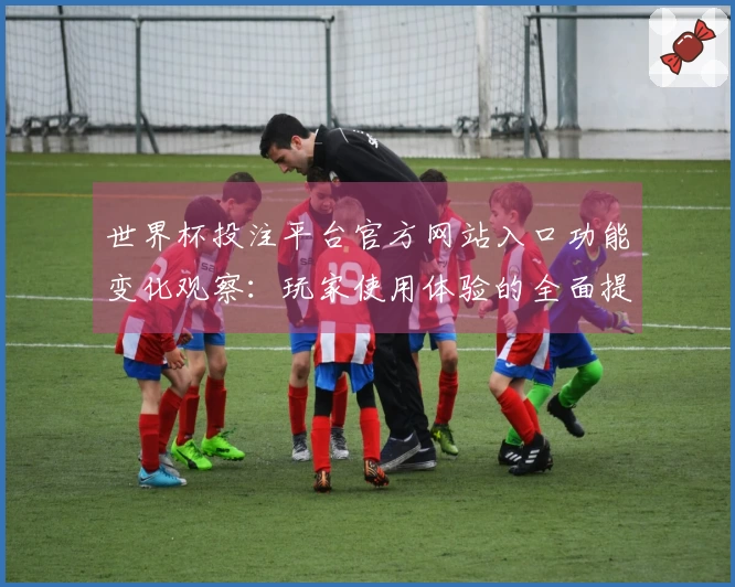 世界杯投注平台官方网站入口功能变化观察：玩家使用体验的全面提升与技巧分享