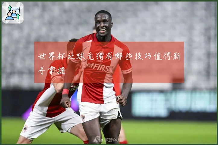 世界杯让球竞猜有哪些技巧值得新手掌握