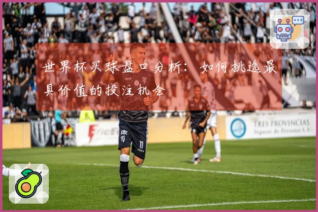 世界杯买球盘口分析：如何挑选最具价值的投注机会