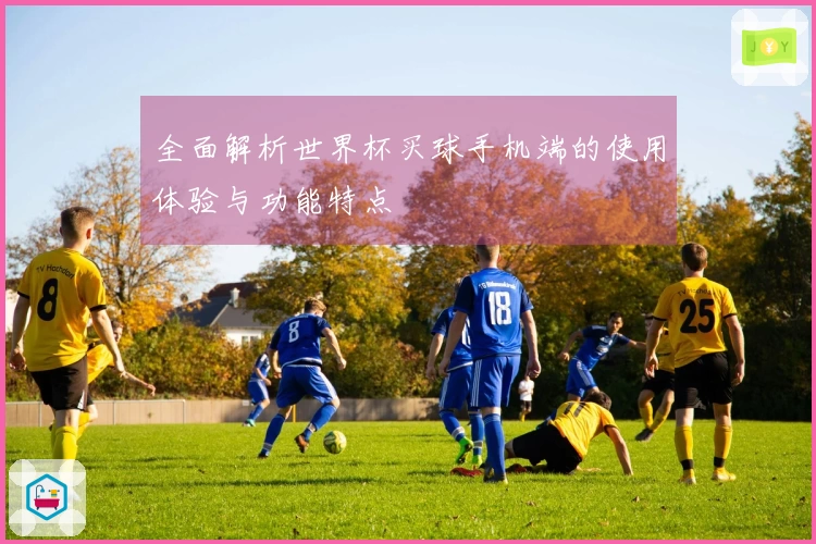 全面解析世界杯买球手机端的使用体验与功能特点