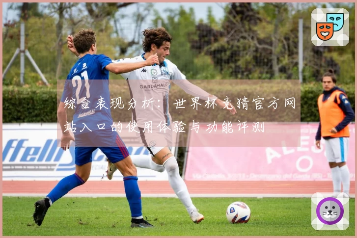 综合表现分析：世界杯竞猜官方网站入口的使用体验与功能评测