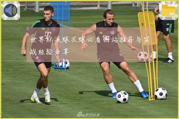 世界杯滚球买球必看网站推荐与实战经验分享