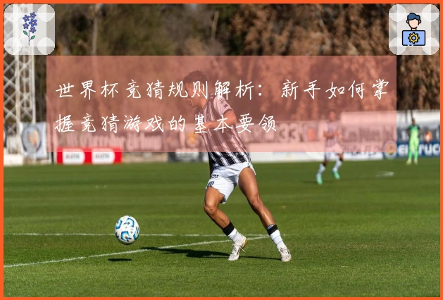 世界杯竞猜规则解析：新手如何掌握竞猜游戏的基本要领