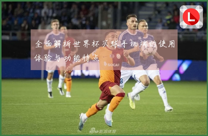 全面解析世界杯买球手机端的使用体验与功能特点